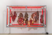 Doreen Garner / Halle für Kunst, Graz