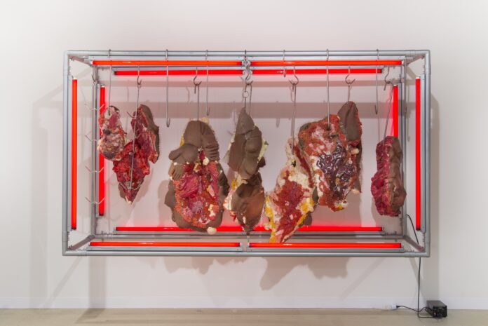 Red Rack of those Ravaged and Unconsenting, 2018