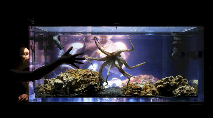 Open Mind Festival ’21 / Salzburg