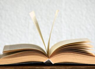 Buch Wien 2021 / Wien