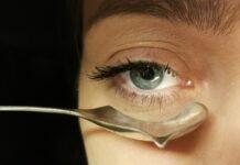 Digital && Life / In Kepler’s Gardens, Linz