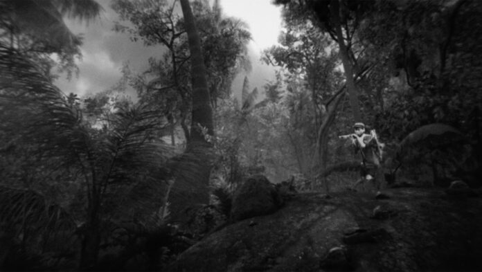 (c) Guangli Liu (CN), When the Sea Sends Forth a Forest.