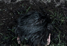 TOUCH NATURE / Österreichisches Kulturforum, Rom