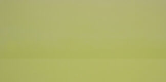 Mirjam Baker: Staub / Kunstforum Wien