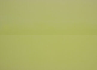 Mirjam Baker: Staub / Kunstforum Wien