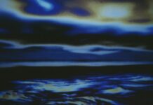 Julie Monaco: Kaltwasser / Bildraum Bodensee, Vorarlberg