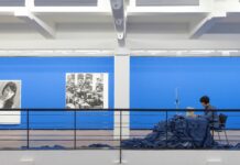 Huang Po-Chih: Blue Elephant / MUMOK, Wien