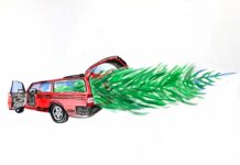 Christmas Tree Film Set / Schlossmuseum Linz