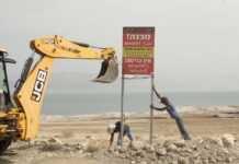 Cinema Next Series / Online