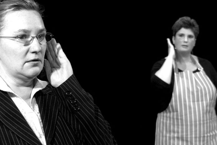 (c) Zerrissen. Produktion im Web des Forumtheater-Festivals "Brisant".