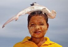 Anderswo Festival / Orpheum, Graz