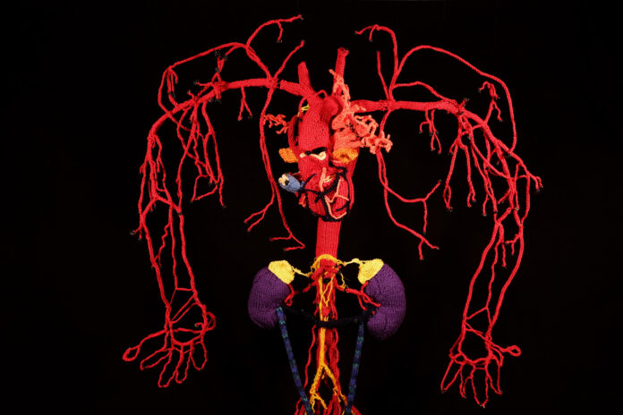 (c) Katharina Sabernig, "Gestrickte Anatomie", 2021. Wolle, Druckknöpfe. Foto: Katharina Sabernig.