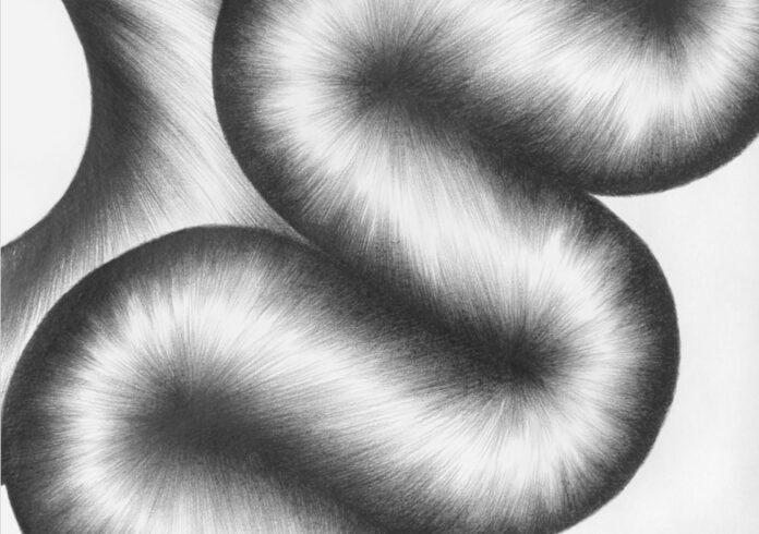 (c) Lavinia Lanner, O.T., From the series: Your secret, perched in ecstasy (detail), 2022. 3B pencil on paper.