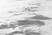 Renate Graf: Auf der Seidenstraße / Österreichische Auslandskultur, Österreichische Botschaft Ankara