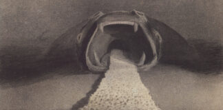 Alfred Kubin: Bekenntnisse einer gequälten Seele / Leopold Museum, Wien