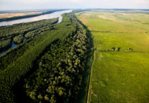 Life along the Danube – Fotowettbewerb / Österreichisches Kulturforum, Kiew