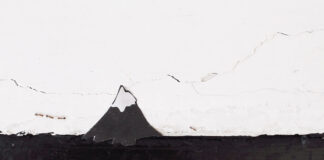 PAS DE DEUX / Fotogalerie Wien