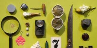 Space for Kids. Das Kunst-Natur-Labor oder Die wuchernde Wunderkammer