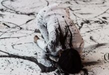 The non-fungible body?: Ephemere Ökonomien / OK Linz