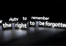 New Entries – Collection Policy / Museum der Moderne Salzburg