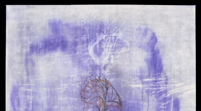 Cameron Jamie / MdM, Salzburg