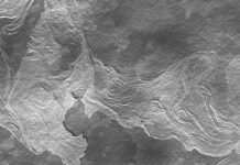 Automorph – lichterloh / Digital Francisco Carolinum, Linz © lichterloh / Francisco Carolinum Digital