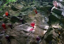 46 Farben – Tamara Grčić / Kunst im öffentlichen Raum, Klöch, Steiermark Tamara Grčić, 46 Farben, Foto: © KiöR/David Auner