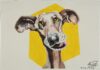 Young@Art / Ursulinenhof, Linz Young@Art, © Laurin Steinhuber