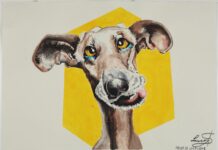 Young@Art / Ursulinenhof, Linz Young@Art, © Laurin Steinhuber