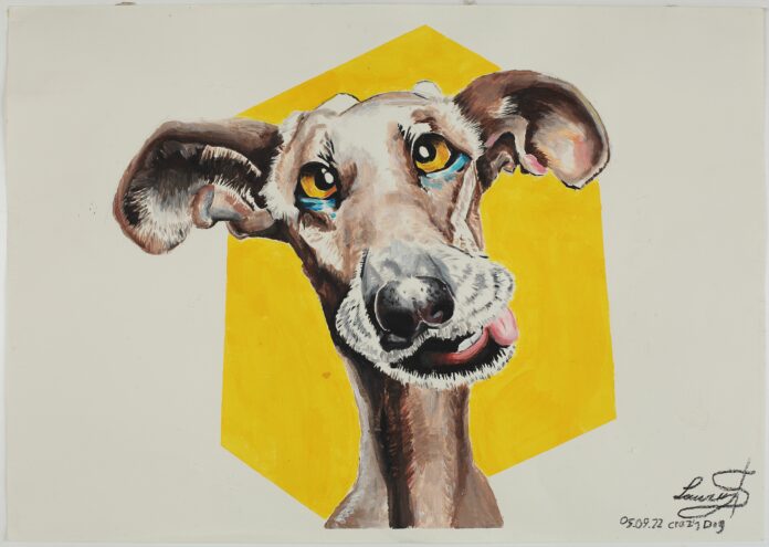 Young@Art, © Laurin Steinhuber Young@Art, © Laurin Steinhuber