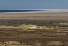 LandRush – Frauke Huber und Uwe H. Martin / Museumsquartier, MQ Freiraum, Wien LandRush, Dying Sea © Frauke Huber und Uwe H. Martin