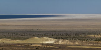 LandRush – Frauke Huber und Uwe H. Martin / Museumsquartier, MQ Freiraum, Wien LandRush, Dying Sea © Frauke Huber und Uwe H. Martin