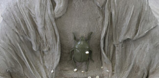 Oasis – Karina Mendreczky und Katalin Kortmann Járay / Museumsquartier Salon, Wien Aus der Installation Oasis © Karina Mendreczky und Katalin Kortmann-Jaray