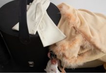 Un paradiso amaro *Viaggio a Roma / Rome Cultural Forum Foto: © Valerie Habsburg, 2023 / austriakulturdigital