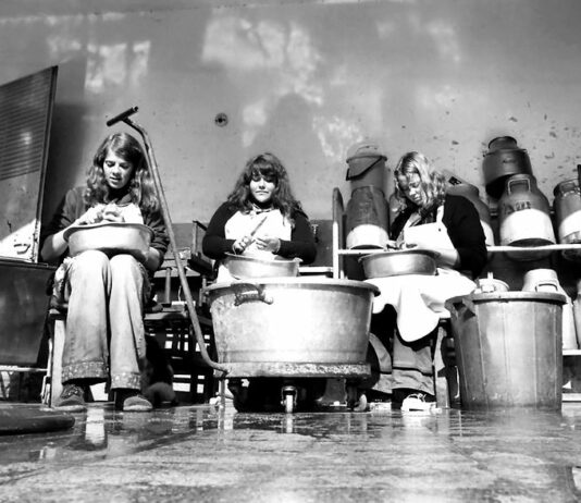 Jüdisches Filmfestival Wien 2023 / various locations, Wien "Apples and Oranges" von Yoav Brill, Kamera © Nadal Ben Zur / Jüdisches Filmfestival Wien