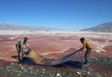 MINING PHOTOGRAPHY – Der ökologische Fußabdruck der Bildproduktion / Kunst Haus Wien Ist Fotografieren böse? © Optics Division of the Metabolic Studio