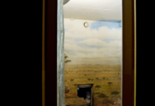 Film City Salzburg / various locations and online, Salzburg Dokumentarfilm über die surreale Welt eines besucher:innenlosen Zooalltags; "Zoo Lock Down" von Andreas Horvath © Andreas Horvath