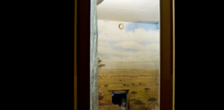 Filmstadt Salzburg / various locations und online, Salzburg Dokumentarfilm über die surreale Welt eines besucher:innenlosen Zooalltags; "Zoo Lock Down" von Andreas Horvath © Andreas Horvath