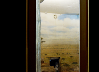 Filmstadt Salzburg / various locations und online, Salzburg Dokumentarfilm über die surreale Welt eines besucher:innenlosen Zooalltags; "Zoo Lock Down" von Andreas Horvath © Andreas Horvath