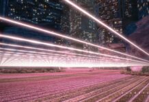 /IMAGINE: A Journey into The New Virtual / Museum of Applied Arts, Vienna Der futuristischer Entwurf einer Megastadt im Jahr 2050, in der die gesamte Erdbevölkerung – 10 Milliarden Menschen – lebt. Filmstill aus "Planet City" (2020) von Architekt und Regisseur Liam Young.