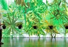 The Artwork As A Living System / Cultural Forum Brussels