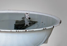 pfingstART 2023 / various locations, Weiz, Styria Objekt und Foto © Walter Kratner