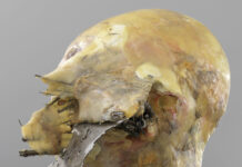 TARWUK – Бољи живоt / HALLE FÜR KUNST Steiermark, Graz, Steiermark TARWUK,Tuzni Radar (Detail), 2018, Foto: Dario Lasagni / HALLE FÜR KUNST Steiermark