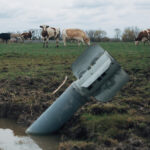 © Anastasiia Vlasova: A rocket sits in a field near grazin cows on April 10 2022, Ukraine