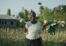 Crossroads 2023 – Festival for Documentary Film and Discourse / various locations, Graz, Syria Der diesjährige Eröffnungsfilm bei den Crossroads 2023: "The Last Seed" von Andréa Gema, Filmmstill © Andréa Gema