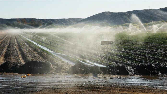 Lisa Truttman_Water Filds_Galerie Lehen Lisa Truttmann, Water Fields, HD-Video, 2013,
© Lisa Truttmann