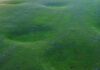 Colorless Green Freedoms Sleep Furiously – Miloš Trakilović / Grazer Kunstverein, Graz, Styria Grün ist die Farbe der Freiheit - Colorless Green Freedoms Sleep Furiously (Videostill) © Miloš Trakilović