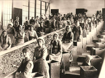 csm_Das_aelteste_Bild_von_Klauberinnen_an_Sortierbaendern__entstanden_zw._1910_und_1920__Archiv_Stadtmuseum_Eisenerz__2c395eed1e Hart erarbeitete Unabhängigkeit © Archiv Stadtmuseum Eisenerz
