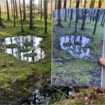 Mit Präzision und Poesie wandeln die Werke Christian Eisenbergers oftmals ihrer Vergänglichkeit entgegen. © Christian Eisenberger / HochSommer Art