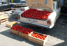 Anna Jermolaewa. Otto-Breicha-Preis for Photographic Art 2021 / Museum der Moderne Salzburg